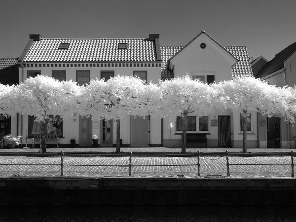 Faut-il repenser l'aménagement urbain à cause des micro-climats locaux